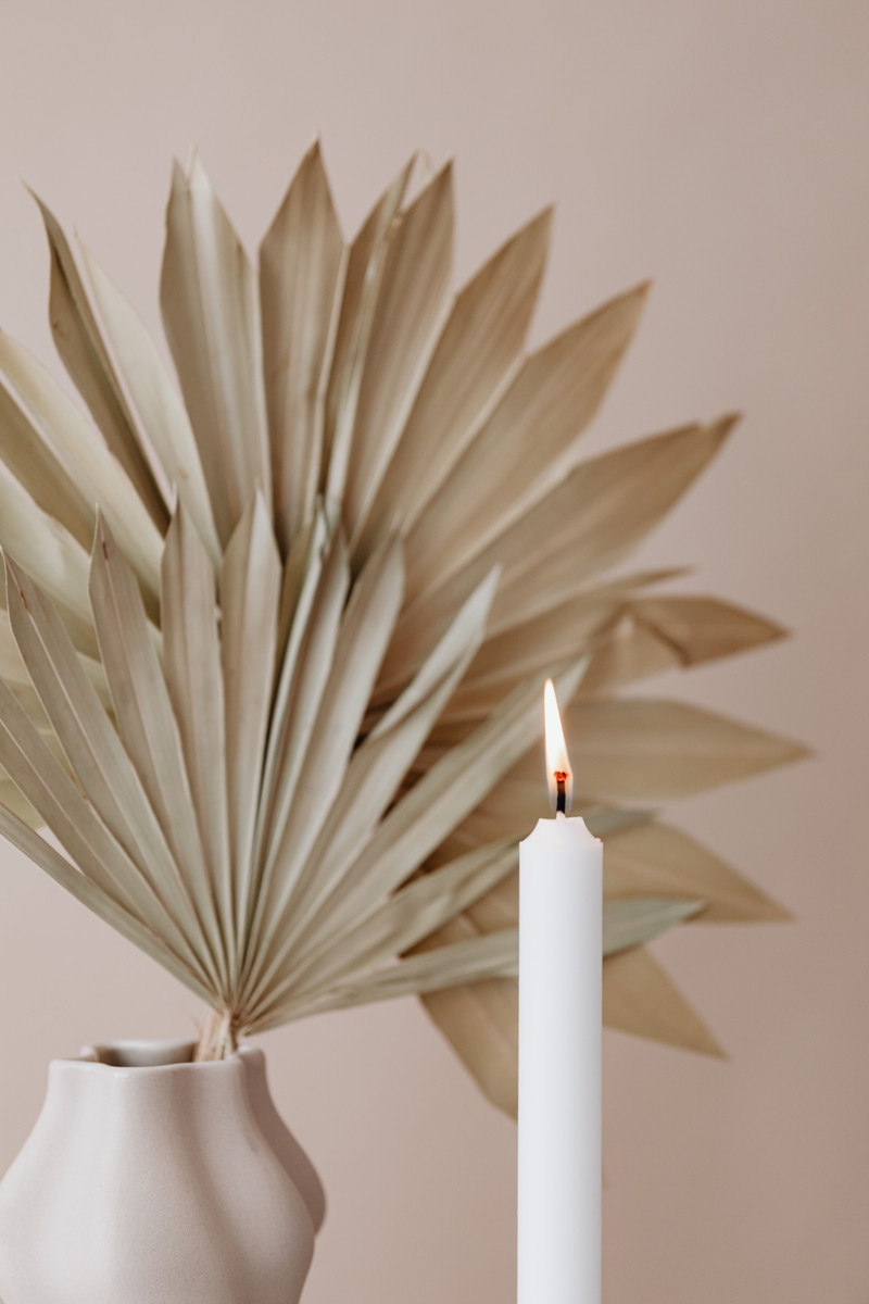Dried Palm Spears